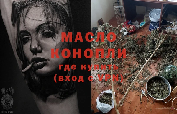 дживик Балахна