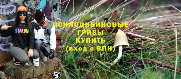 молекула духа Баксан
